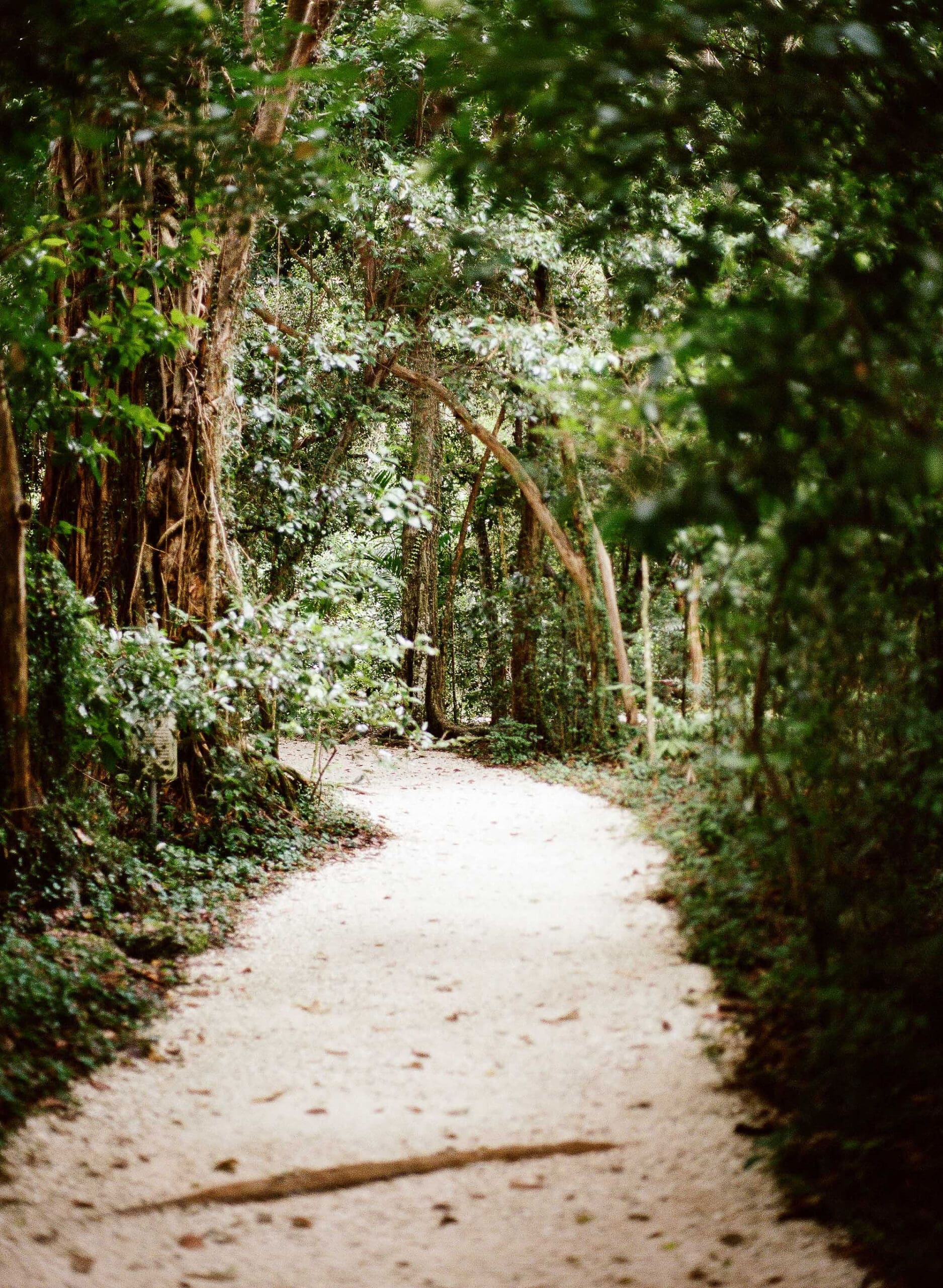 Serene Life Way holistic wellness inspiration