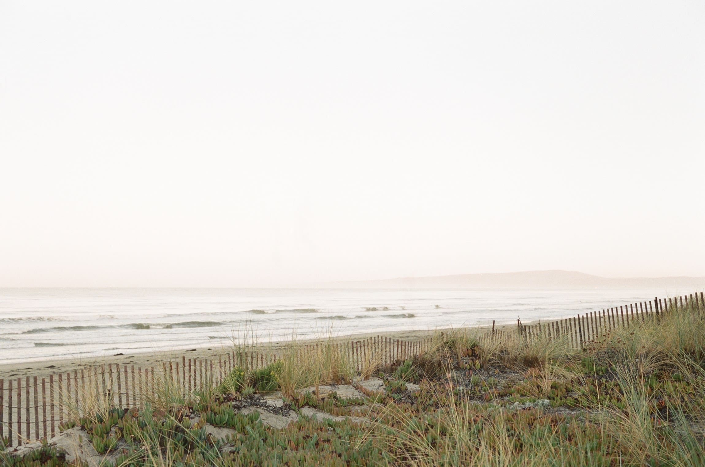 Serene Life Way holistic wellness inspiration