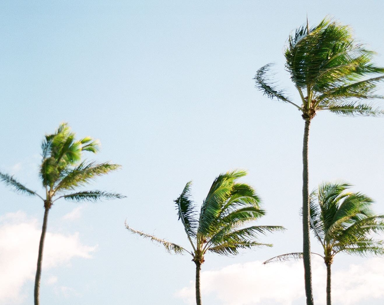 Serene Life Way holistic wellness inspiration