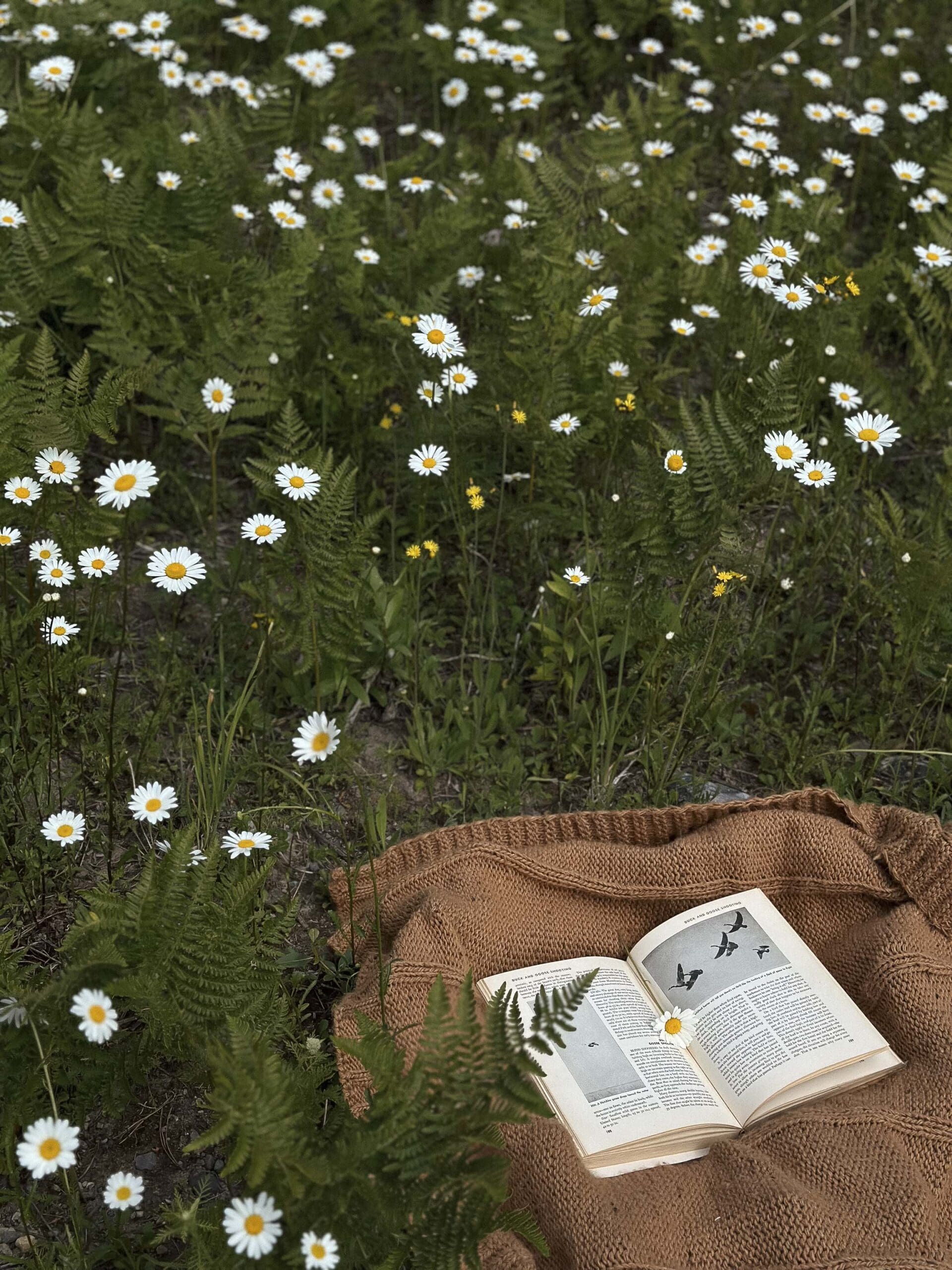 Serene Life Way holistic wellness inspiration