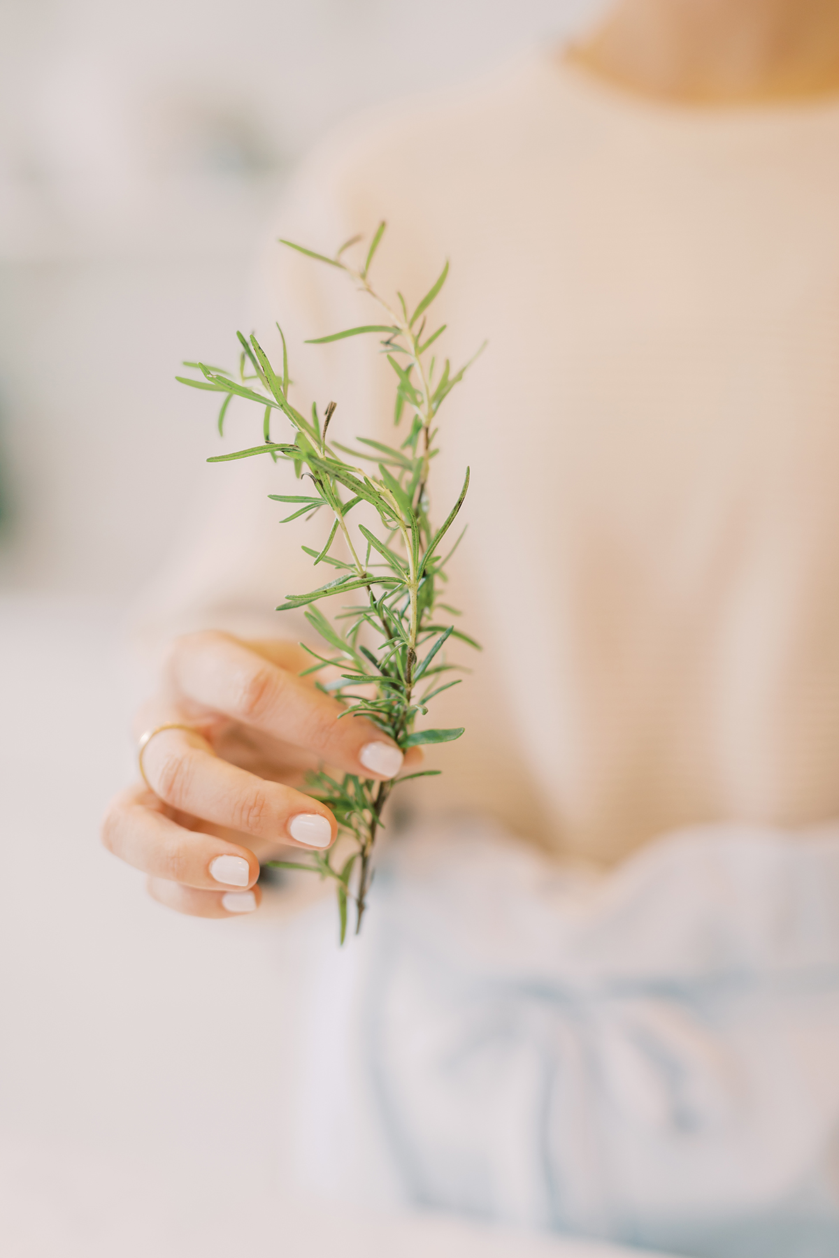 Woman's hand holding a fresh sprig of rosemary against a soft, light background